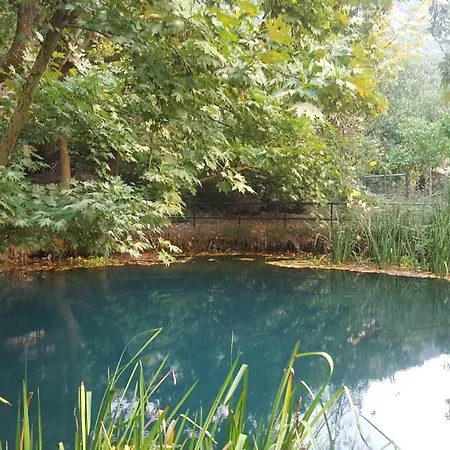 Hotel Dimitra Dafni (Achaea)