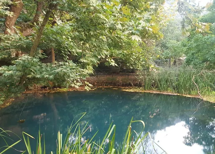 Hotel Dimitra Dafni (Achaea)